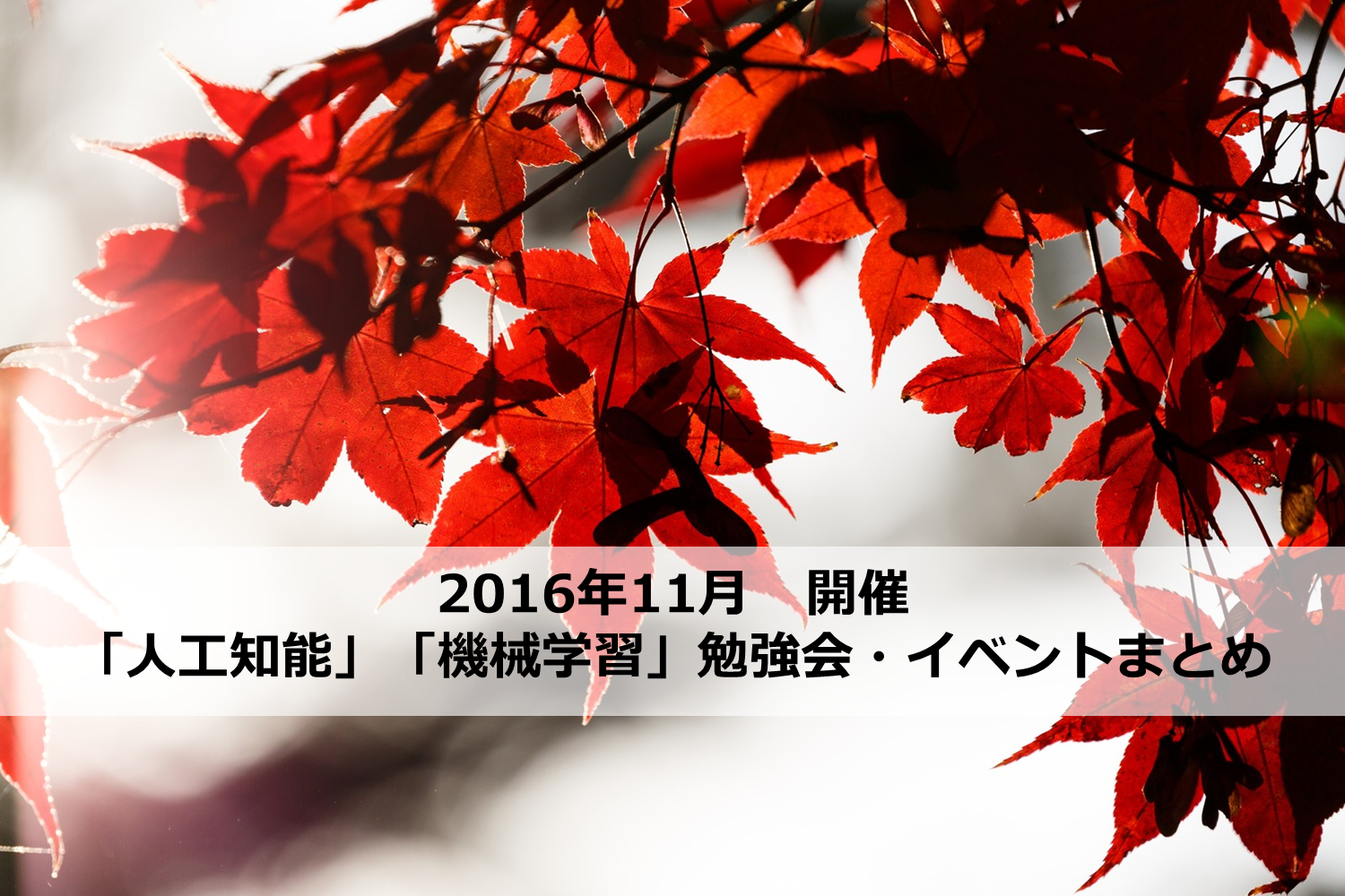 11月