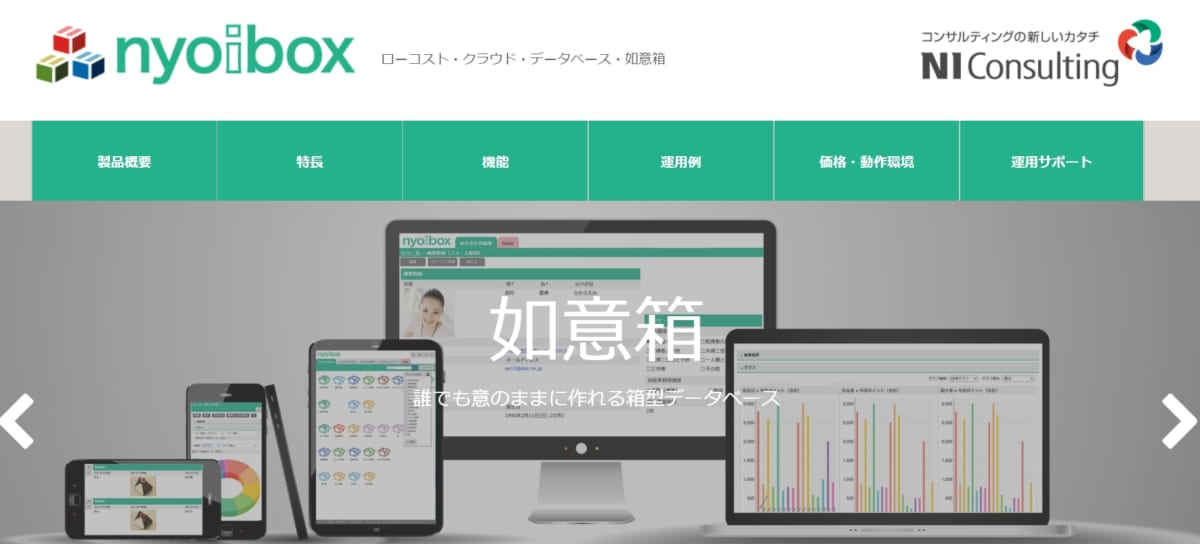 nyoibox公式ホームページ画像