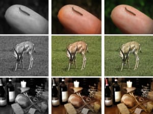 引用：公式サイト