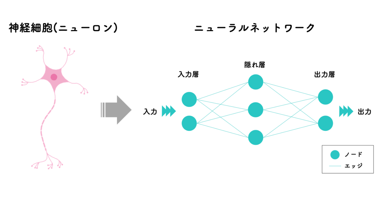 機械学習とニューラルネットワークの違いをわかりやすく解説 Ai専門ニュースメディア Ainow